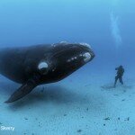 BrianSkerry-f3.ashx