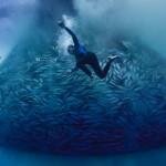 Overfishing by Alex Hofford